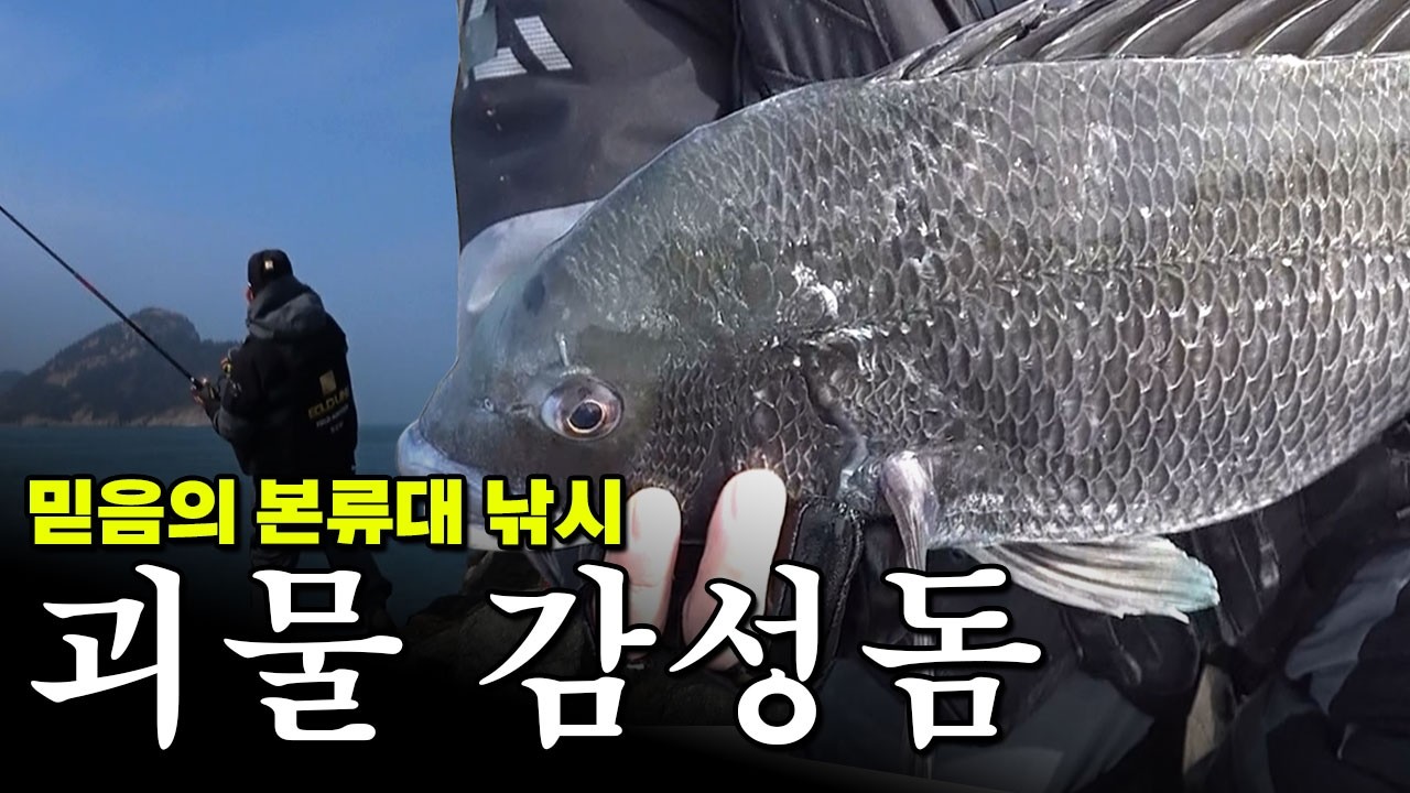 약속이나 한 것처럼 대물이 본류에서 쏟아진다 [선굵은낚시 185회]