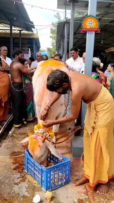 🎶భక్తి పాటలు🔱 - ShareChat