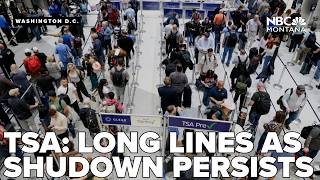 What to know about TSA wait times amid partial government shutdown