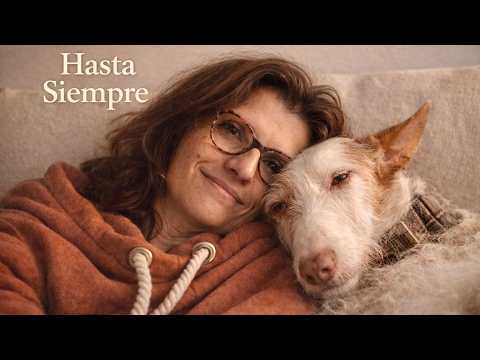 Scotty nos ha dejado