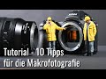 10 Tipps für Makrofotografie - diese 10 Basics solltest Du kennen
