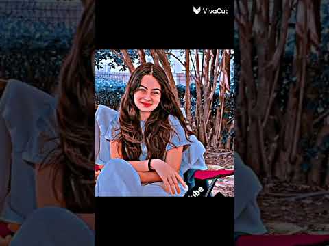 جيبولي هل مجنونه