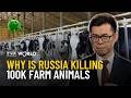 Russia's hidden agricultural crisis. What authorities aren't saying | Break the Fake
