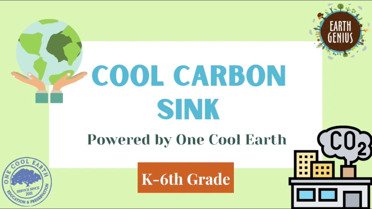 Cool Carbon Sink with Natalie