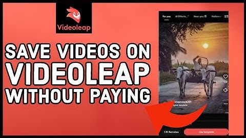 How to Save Videos on Videoleap Without Paying 2023?