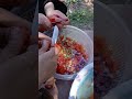 حسابي بدون موسيقى    اذا اعجبكم الفيديو تابعوني على انستغرام  تشجيعا و شكرا               نجومي