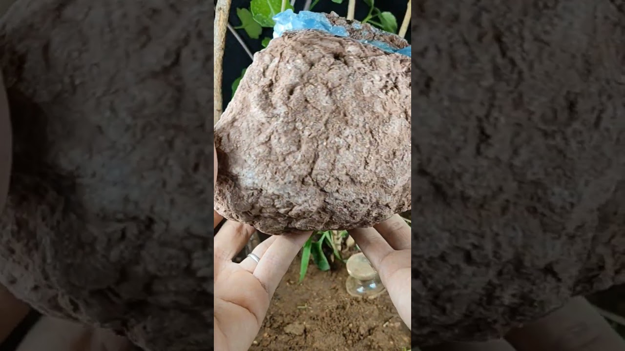 Moroccan celestite geode for sale 