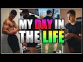 A Day in the Life of a COLLEGE Student, Youtuber, & Bodybuilder!