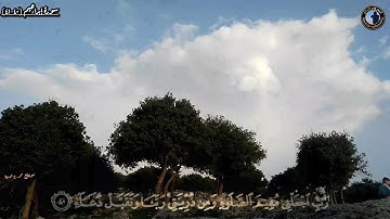 ﴿رَبَّنَا اغفِر لي وَلِوالِدَيَّ وَلِلمُؤمِنينَ يَومَ يَقومُ الحِسابُ﴾تلاوةرائعةللشيخ عبدالله الموسى