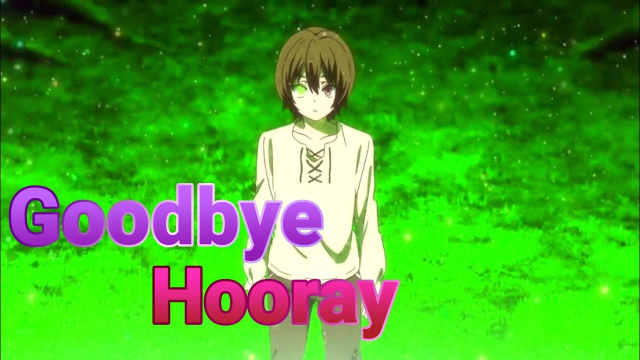 Amv   Red Hot Chili Peppers   Goodbye Hooray Legendado