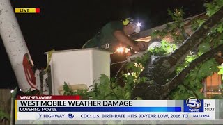 Fallen tree damages West Mobile Home