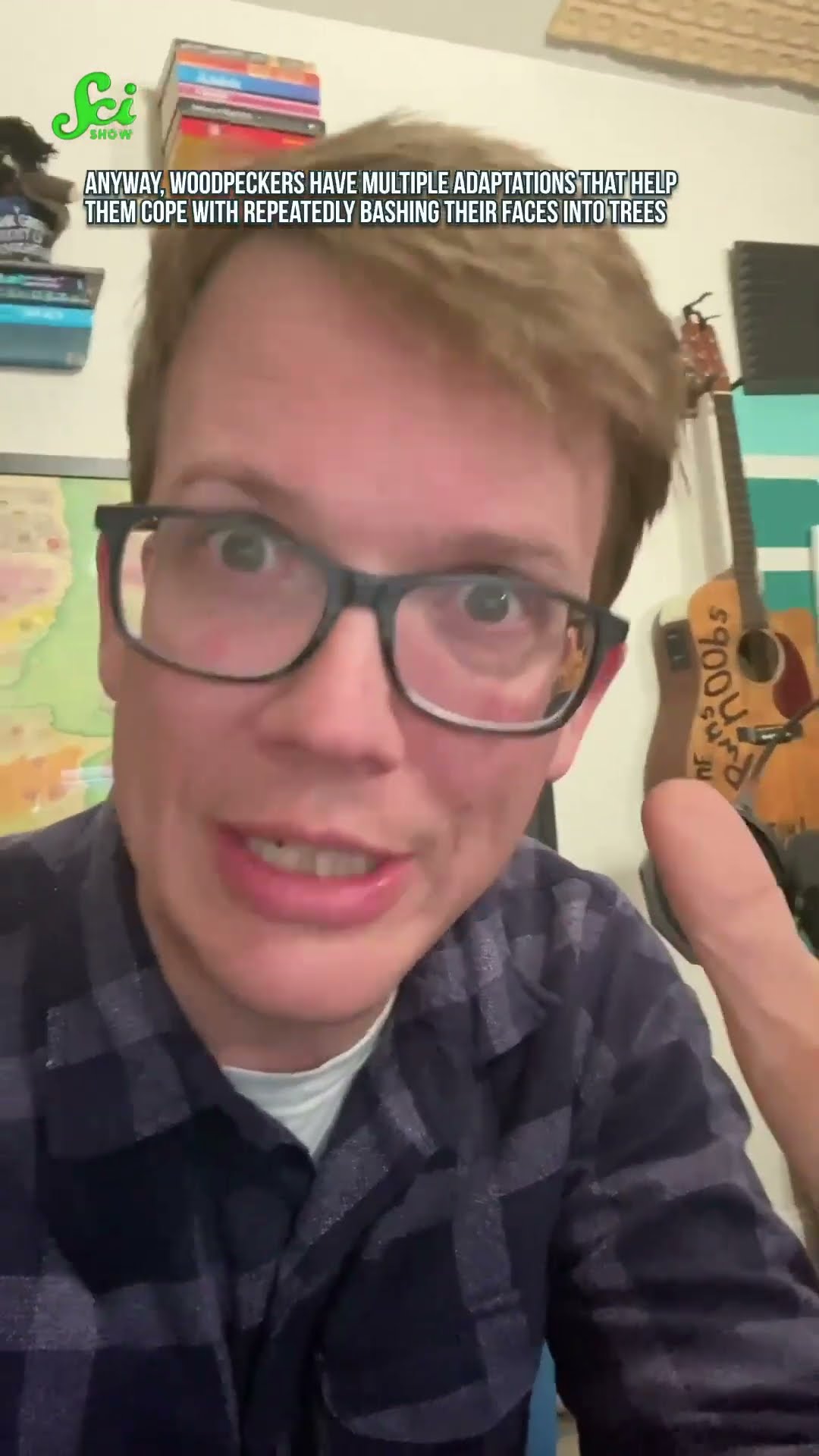 Woodpecker tongues are ridiculous. #shorts #science #SciShow