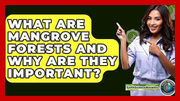 What Are Mangrove Forests And Why Are They Important? - Earth Science Answers