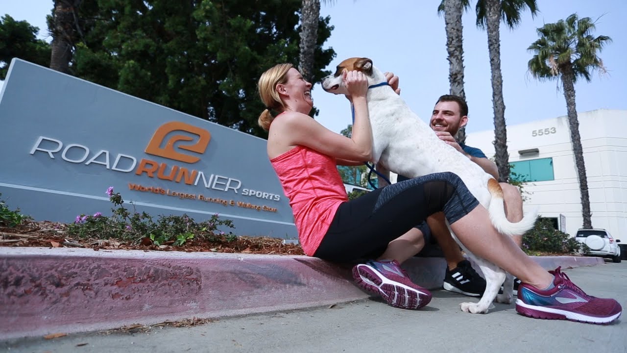 Running With Rescue Dogs YouTube