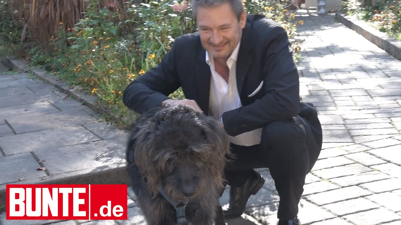"Sturm der Liebe"-Star Dieter Bach - Seit acht Jahren: Hündin Pria ist immer an seiner Seite