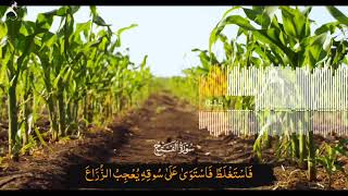 2021 MOHAMED ABDO SURAT AL-FATH - سورة الفتح قريباً | محمد عبده