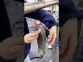 Automated Pipe Welding 🔥 Clean Steel Pipes | Flawless Pressure-Test Results