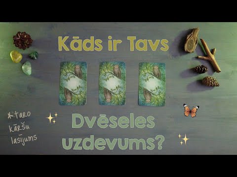 Video: Kuras kārtis var sadalīt blekdžekā?