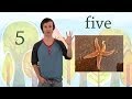 Learning About the Number Five