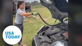 Brave Texas mom removes large snake from daughter's car engine | USA TODAY