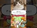 【教えて！ずんだもん先生っ】​「にゃんこの人気ランキングTOP5」#ずんだもん#アニメ#雑学