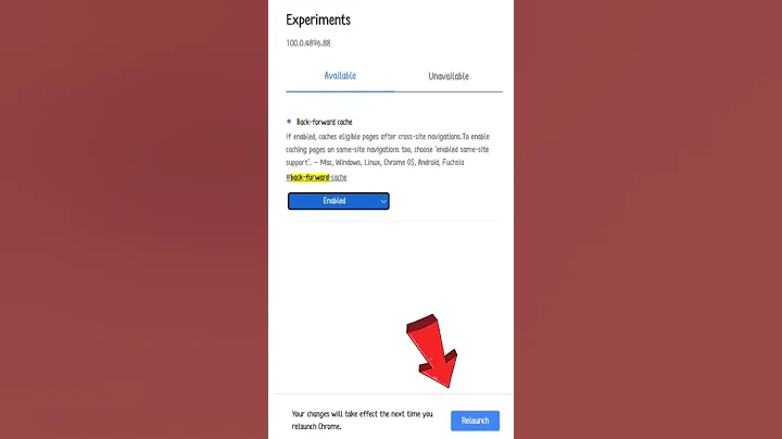 Google chrome hidden satting | make your chrome fast forward