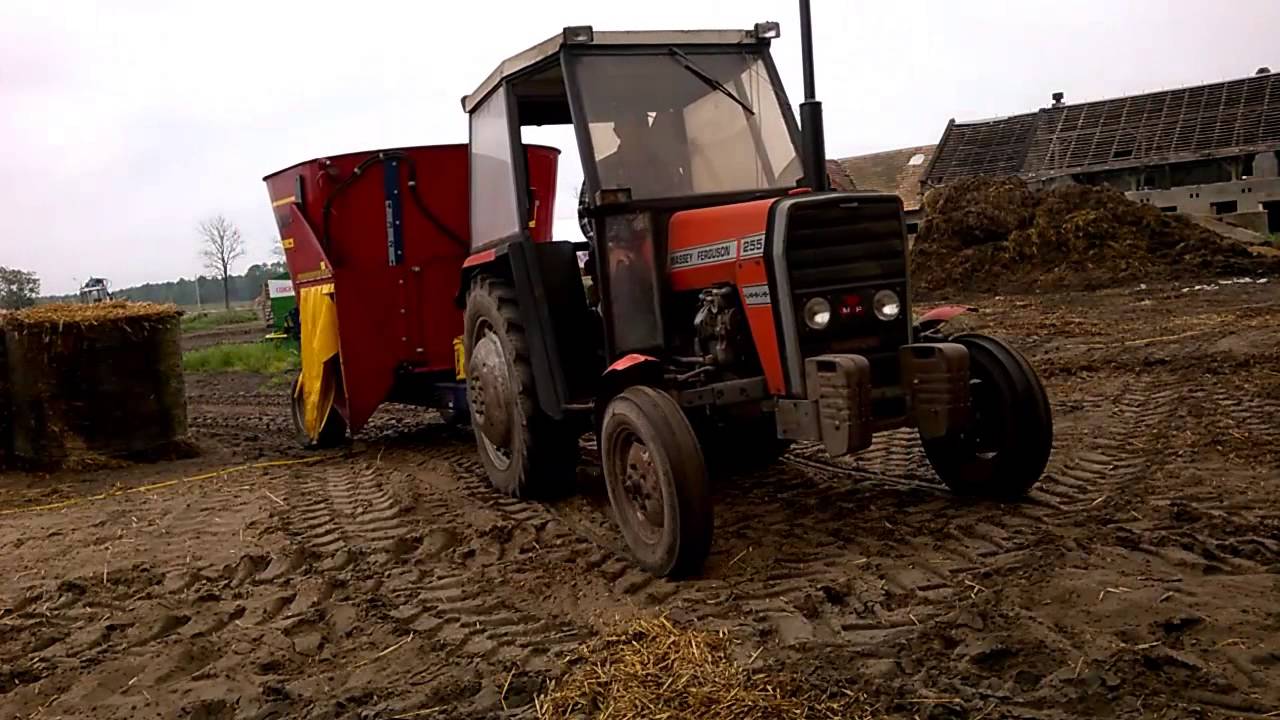 Codzienne obowiązki cz3  MASSEY FERGUSON 255 9407S SANO