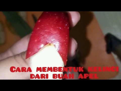 Video: Cara Memasak Kelinci Dalam Krim Asam Dengan Apel