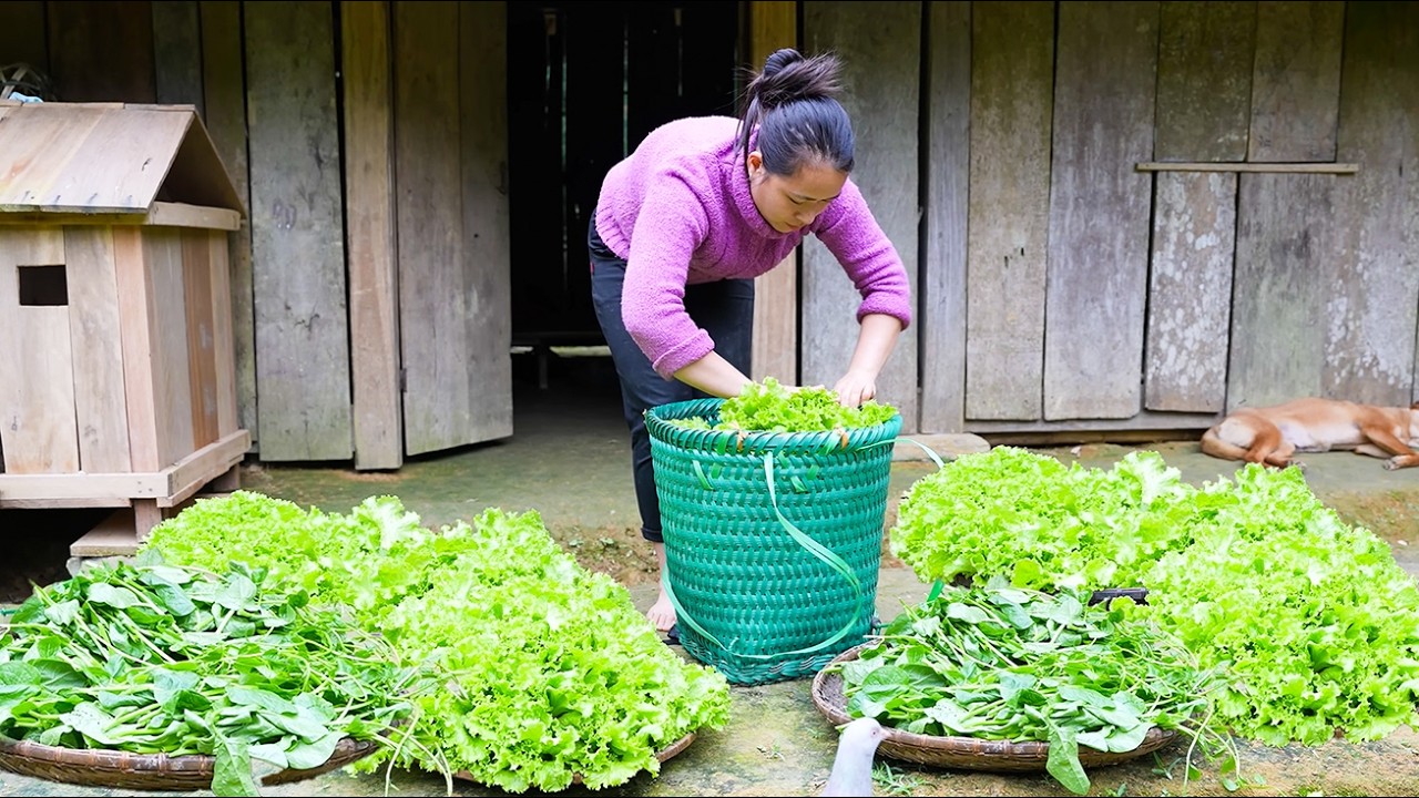 From Garden to Market, Ly Hoai Van Sells Fresh Vegetables and Cooks for Daily Family Life