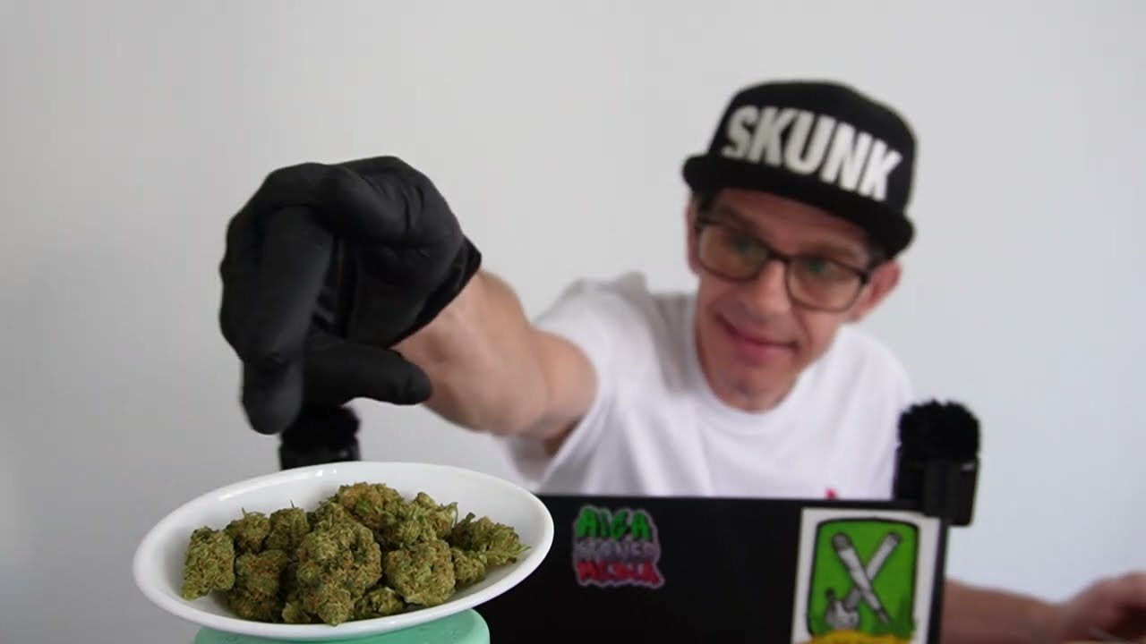 Avaay 23/1 CK, Neue medizinische Sorte im Review