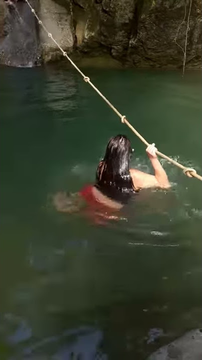 Anaconda en el rio