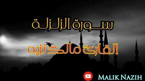 سورة الزلزلة || القارئ مالك نزيه || قرآن الفجر
