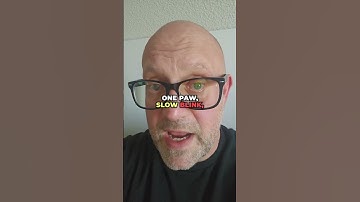 Why Does Your Dog Sneak ONE Paw Onto the Couch First? 🐶🛋️👀