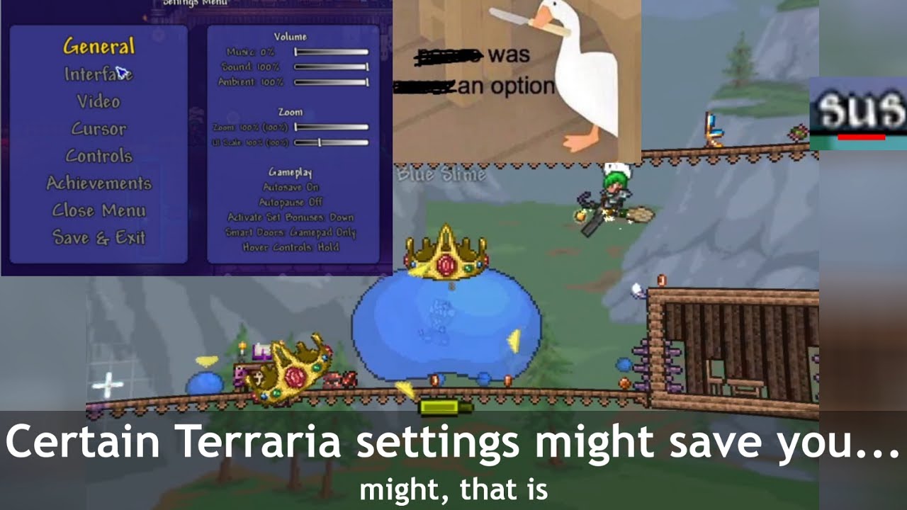 Check these options in Terraria settings menu ─ It may help you, "maybe
