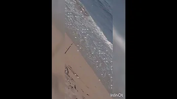ام خديجه 