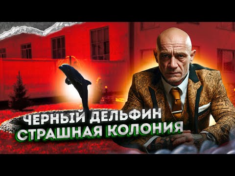 "Чёрный дельфин" - страшная колония, её быт и обитатели