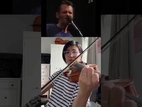 Can You Name This Standard? 🎻 Chet Baker Scat Solo on Violin #shorts