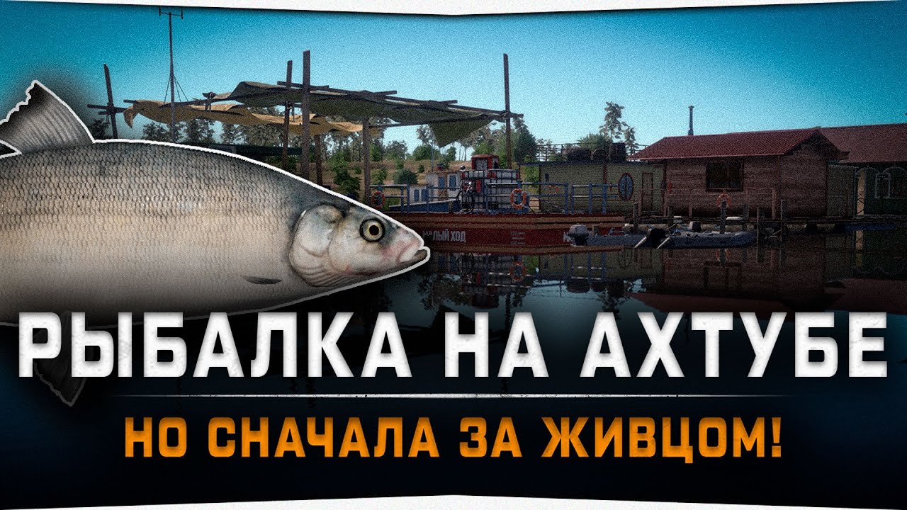 Белорыбица на волге