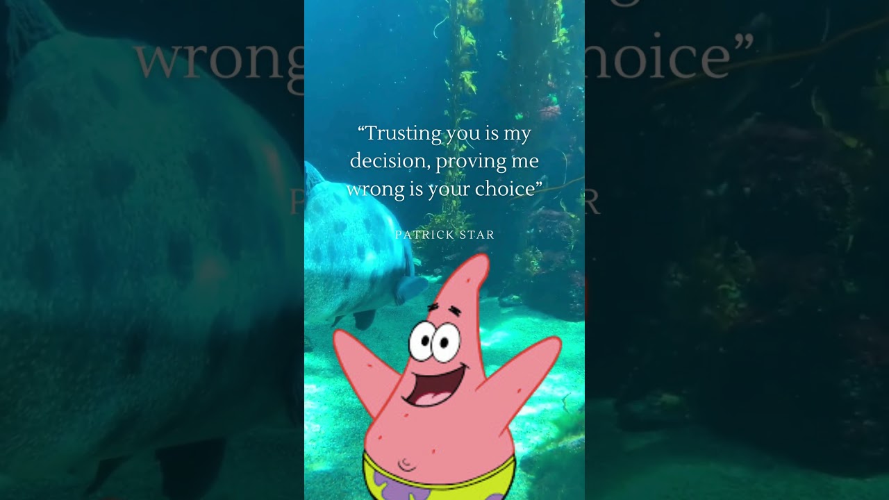 Patrick Star's Quote  