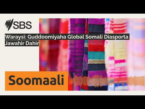Waraysi: Guddoomiyaha Global Somali Diasporta Jawahir Dahir | SBS Somali - SBS Afsomali