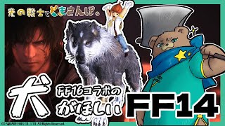 【FF14】でっかいわんこが貰えるって聞いたのよ【FF16コラボ】
