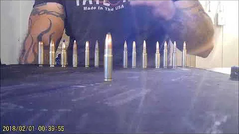 15 Calibers: AR-15 Ammo Comparison