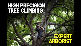 Live: Expert Precision Removal of This Massive Leaning Tree