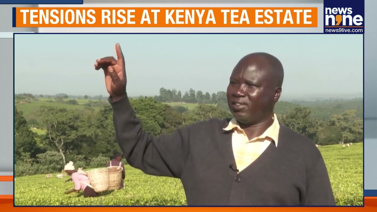 Kenya's Tea Plantation Dispute Highlights Lingering Colonial-Era Injustices | News9