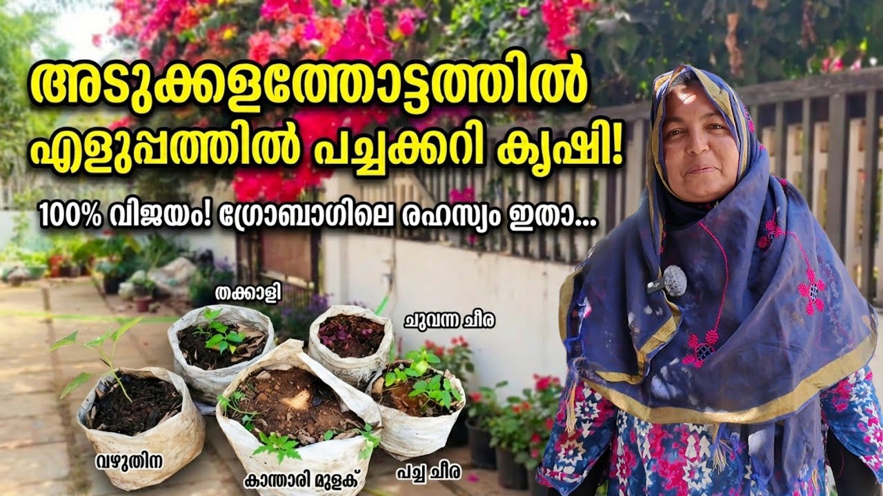 വീട്ടിലൊരു അടുക്കളത്തോട്ടം: തുടക്കക്കാർക്ക് എളുപ്പത്തിൽ വളർത്താൻ പറ്റിയ 5 പച്ചക്കറികൾ ഇതാ!