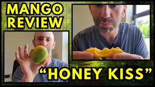 Mango Tasting Honey Kiss