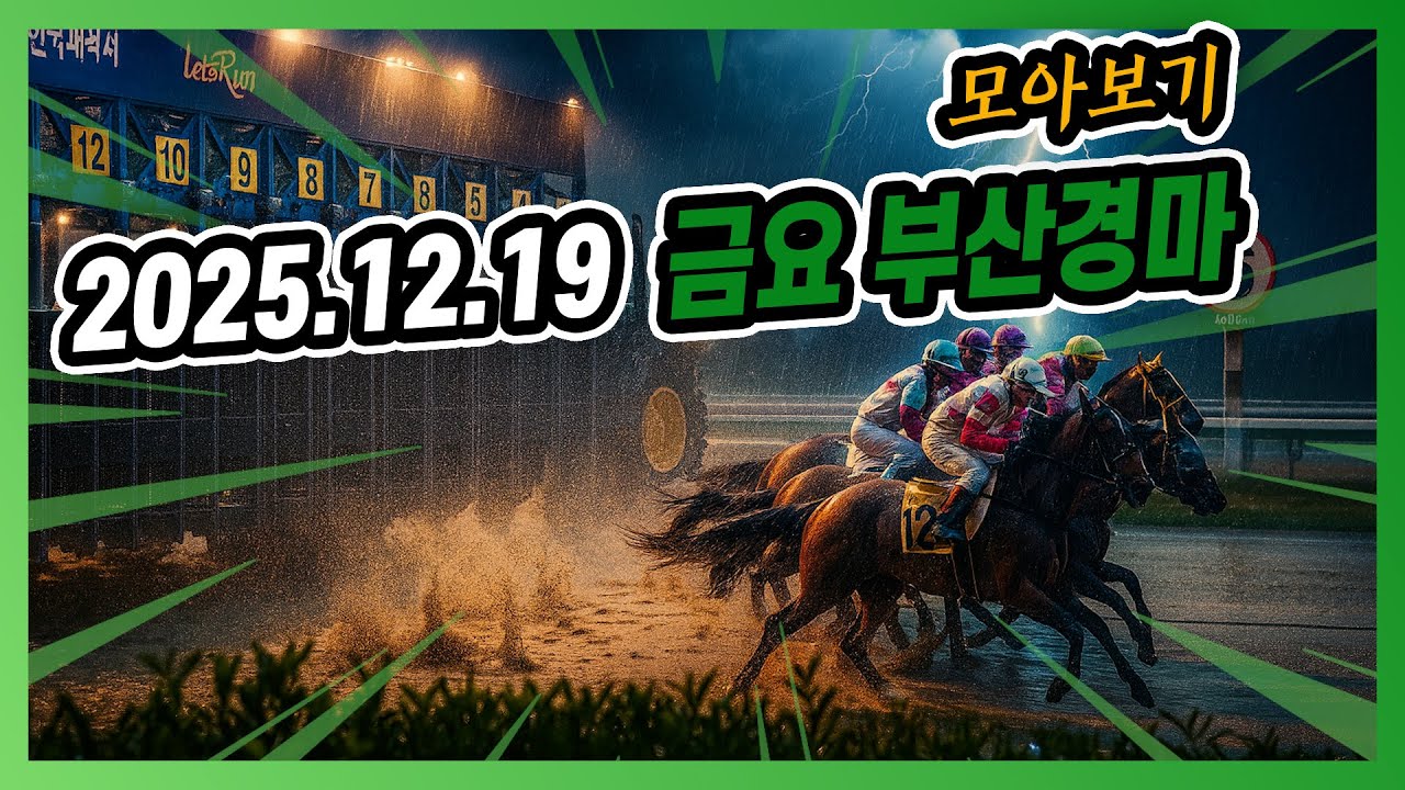 2025년 12월 19일 금요 부산경마 전체경주 모아보기