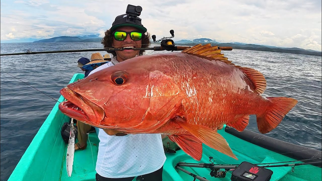 Imposible NO PESCAR Aquí! | Pargos Gigantes, Medregal y Pez Gallo! 