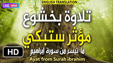 هذا القارئ سيكون حديث الجميع من الأن 🎧 روعة في الترتيل وخشوع لا يصدق 🥰