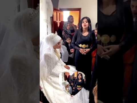 يبغى يلعب وبكاني ياهلي جاني يماني ابو حنظله